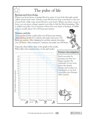 Essential Grade 3 Science Worksheet: Taking Your Pulse