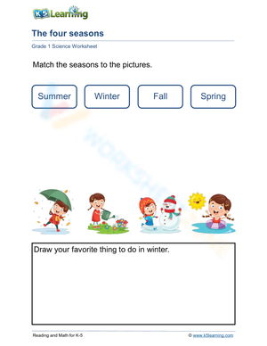 summer, winter, fall and spring