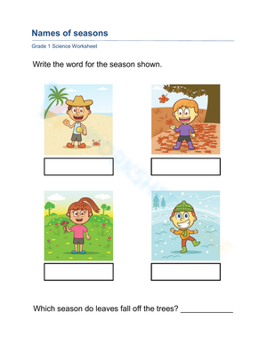Essential Names of Seasons Worksheet | Grade 1 Science