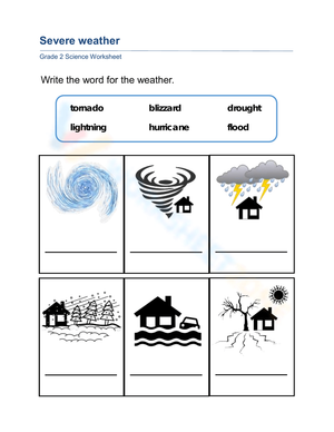 Essential Severe Weather Worksheet | Grade 2 Science