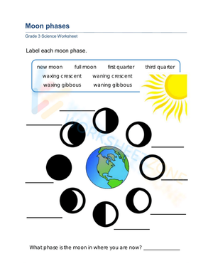 Essential Moon Phases Worksheet | Grade 3 Science