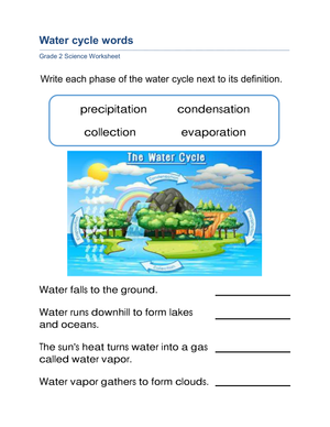 Essential Water Cycle Words Worksheet | Grade 2 Science