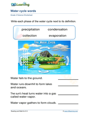 Water cycle words