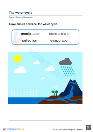 Water Cycle Labeling Worksheet