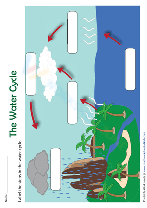 Label the steps in the water cycle