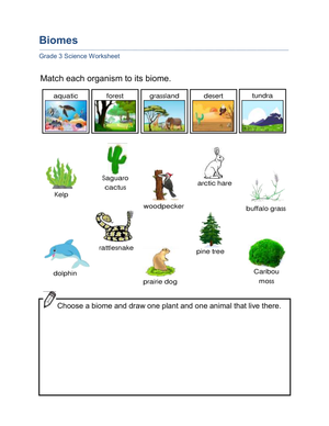 Essential Earth's Biomes Worksheet | Grade 3 Printable