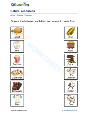 Natural Resources Worksheet for Grade 1 Science Students
