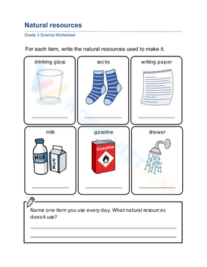 Essential Natural Resources Worksheet | Grade 3 Science