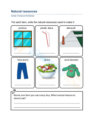 Natural Resources Worksheet: Grade 3 Essential Science