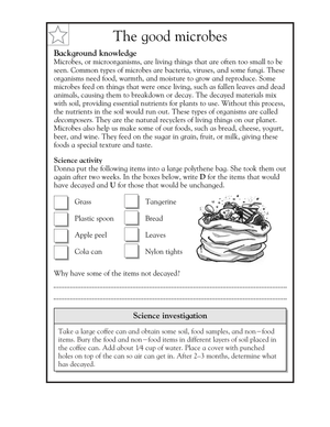 Essential Decomposers Worksheet | Grade 5 Science