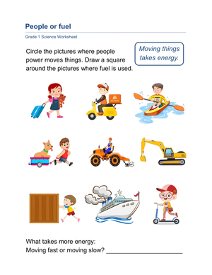 Grade 1 Energy Source — Printable No-Prep Worksheet