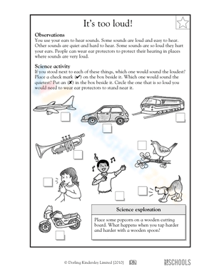 Identifying Loud and Soft Sounds Science Worksheet
