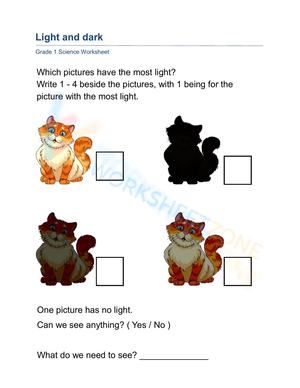 Grade 1 Science: Light — Printable No-Prep Worksheet
