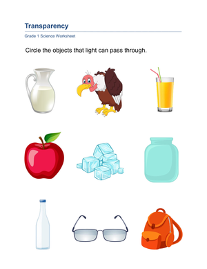 Grade 1 Transparency — Printable No-Prep Worksheet