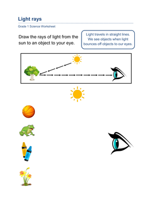 Printable Path of Light Worksheet | Grade 1 Science