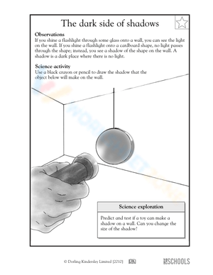Exploring Shadows and Light Science Worksheet
