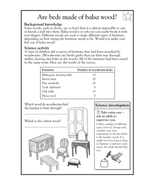 Printable Wood Properties Science Worksheet | Grade 3-4