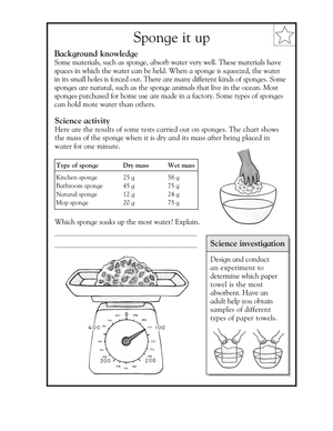 Essential Grade 3 Science Worksheet: Absorption and Sponges