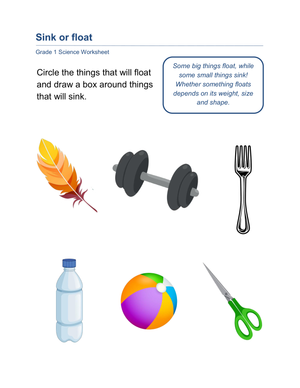 Identifying Sink Or Float Objects Activity