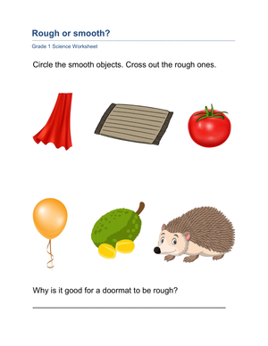 Essential Grade 1 Science: Rough or Smooth? Worksheet