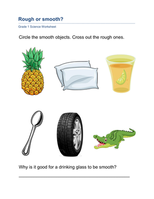 Rough and Smooth Objects Worksheet | Essential Grade 1