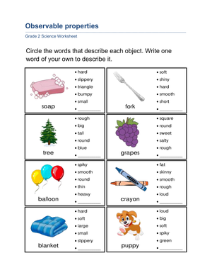 Essential Grade 2 Observable Properties Science Worksheet