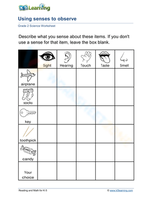 Using our senses to observe