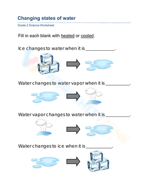 Grade 2 Changing States of Water — Printable Worksheet
