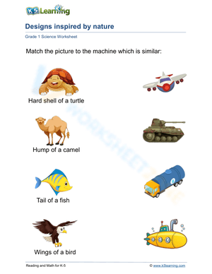 Designs inspired by nature