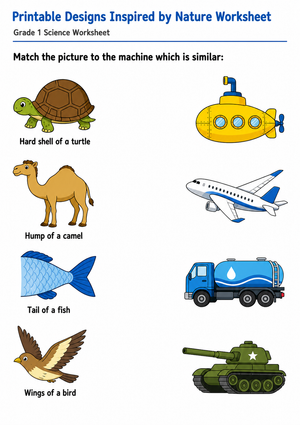Grade 1 Biomimicry — Printable No-Prep Worksheet
