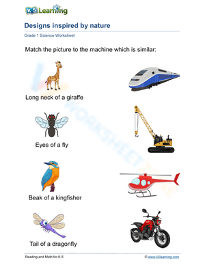 Machine designs inspired by nature