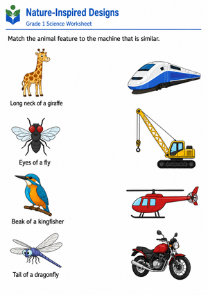 Nature-Inspired Designs Worksheet | Grade 1 Essential