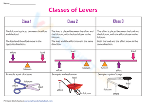 Lever Classes Worksheet - Understanding Effort and Load