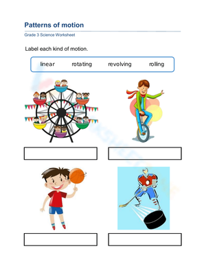 Essential Patterns of Motion Worksheet | Grade 3 Science