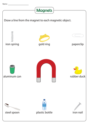 Identify Magnetic Objects Worksheet | Grade 2 Essential