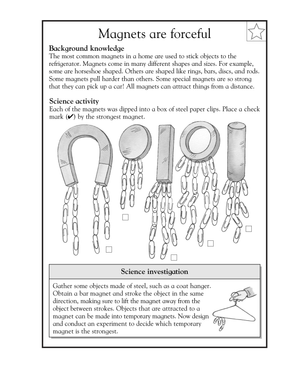Grade 3 Magnets & Forces — Printable No-Prep Worksheet