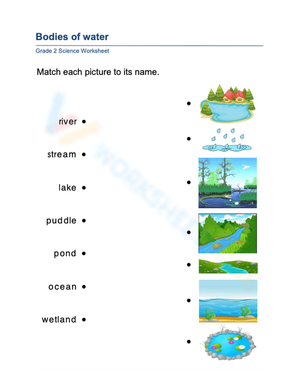 Grade 2 Bodies of Water — Essential No-Prep Worksheet
