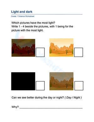Understanding Light and Dark