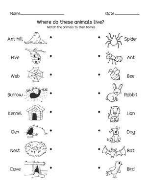 Essential Animal Habitats Matching | Preschool Science