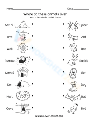Essential Animal Habitats Matching | Preschool Science