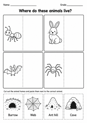 Animal Habitat Worksheet | Essential Kindergarten Science