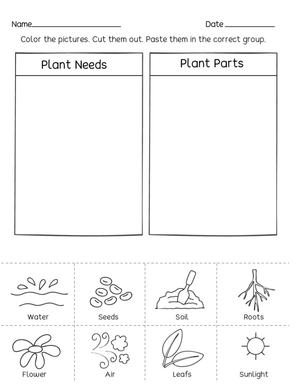 Essential Grade 1 Plant Needs and Parts Printable Worksheet