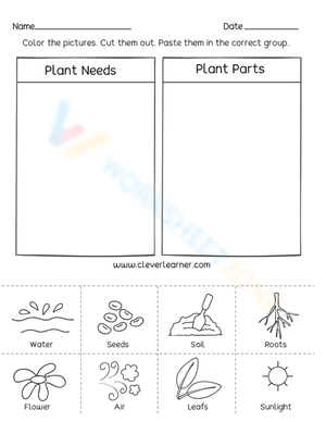 Plant needs and plant parts