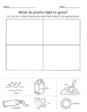 Essential Plant Needs Worksheet | Grade K-1 Science