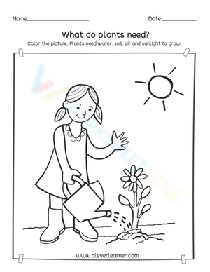 What Do Plants Need? — Ready Kindergarten Science Worksheet