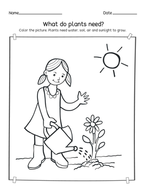What Do Plants Need? — Ready Kindergarten Science Worksheet