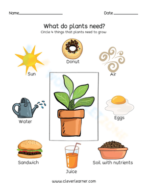 What do plants need? - Circle
