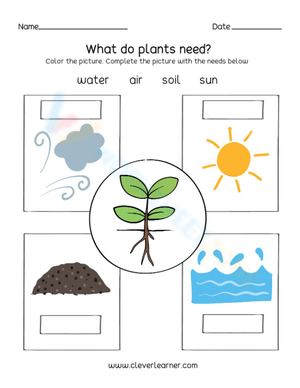 What do plants need? - Fill in the blank