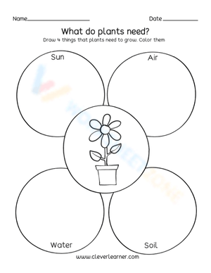 Plant Needs Worksheet: Essential Grade K-1 Science