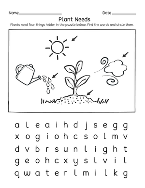 Printable Plant Needs Puzzle Worksheet | Grade K-1 Science